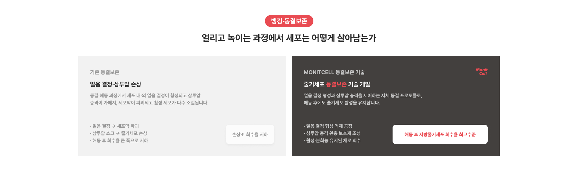뱅킹·동결보존 얼리고 녹이는 과정에서 세포는 어떻게 살아남는가