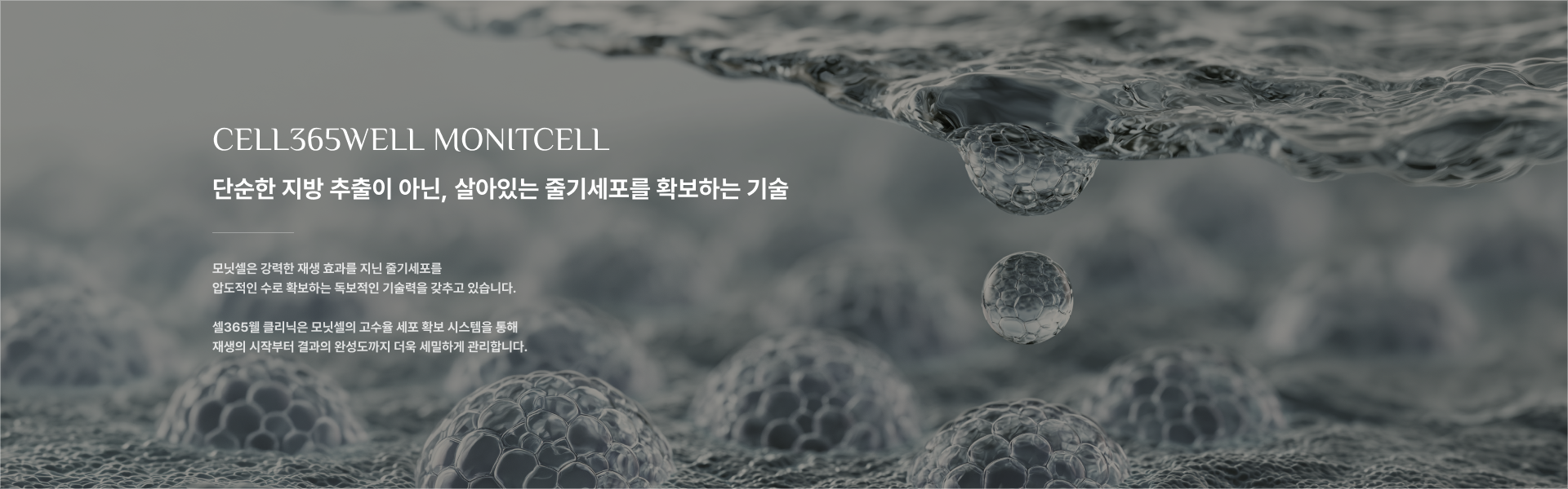 CELL365WELL MONITCELL 단순한 지방 추출이 아닌, 살아있는 줄기세포를 확보하는 기술